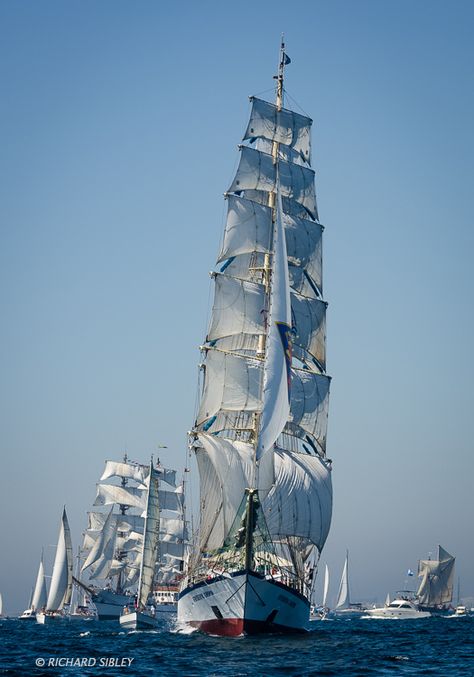 Tall Ships Art, Fryderyk Chopin, Tall Ship Model, Navi A Vela, Old Sailing Ships, Clipper Ship, Tall Ship, Sailing Vessel, Sail Boats