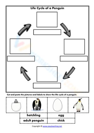 Get to know the life circle of a penguin with this worksheet right now! #Grade-2 #Grade-3 #Grade-4 #Grade-5 Life Cycle Of A Penguin, Penguin Worksheets, Penguin Life Cycle, Life Cycle Worksheet, Life Circle, 4 Grade, Grade 4, Grade 5, Grade 3