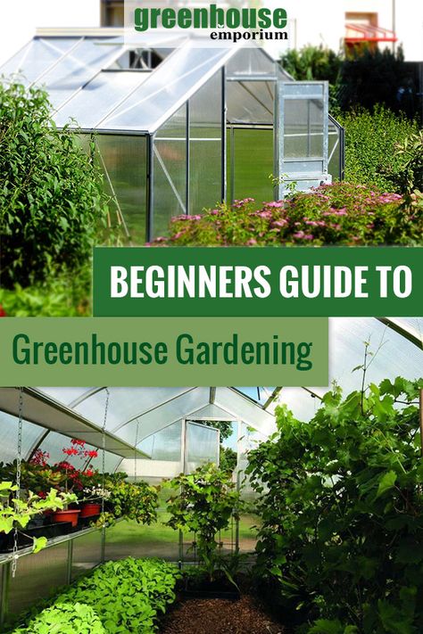 Diy Greenhouse Plans, Greenhouse Growing, Backyard Greenhouse, Organic Vegetable Garden, Greenhouse Plans, Meteor Garden 2018, Aquaponics System, Diy Greenhouse, Garden Greenhouse