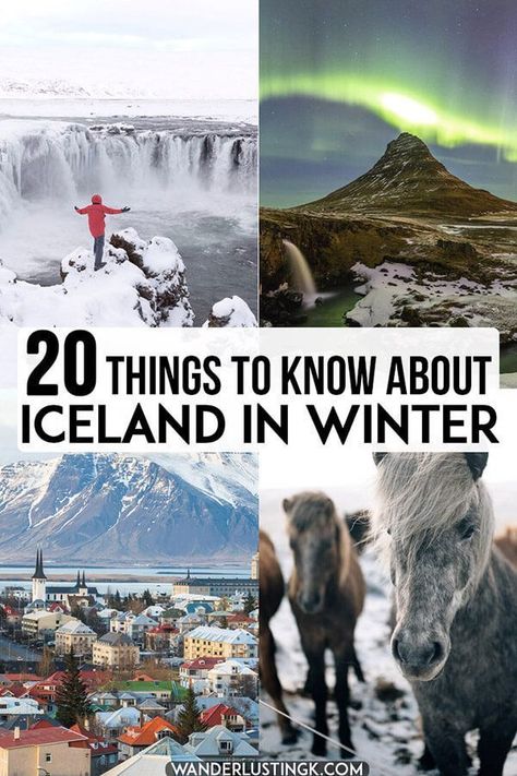 Planning a trip to Iceland in winter? Twenty essential tips to know about planning your trip to Iceland specific to traveling to Iceland during the coldest part of the year! #iceland #europe #travel Europe Winter Travel, Iceland In Winter, Iceland Vacation, Iceland Winter, Travel Iceland, Iceland Trip, Iceland Travel Guide, Winter Travel Destinations, Iceland Travel Tips