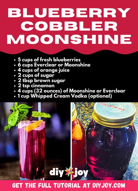 Pie, Blueberry Pie Moonshine Recipe, Moonshine Recipes Homemade, Blueberry Moonshine, Flavored Moonshine Recipes, Moonshine Drink Recipes, Blueberry Pies, Moonshine Recipe, Beer Brewing Recipes