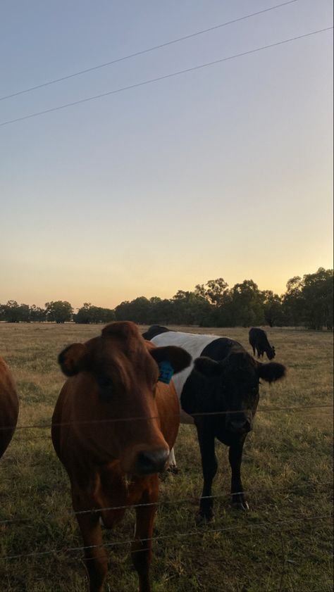 Country Bumpkin Aesthetic, Country Relationships, Country Vibes, Baby Boomers Generation, Young Farmers, Rodeo Life, Western Life, Country Lifestyle, Chill Photos