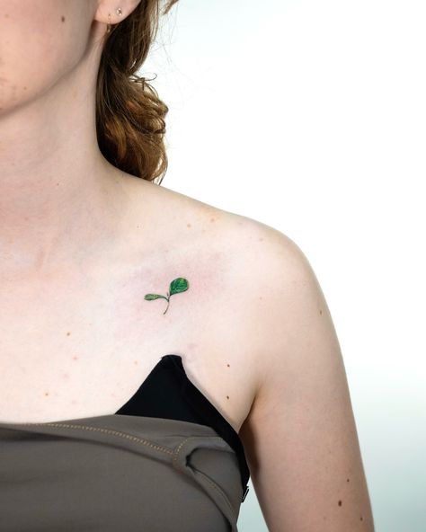 This delicate green sprout tattoo symbolizes new beginnings and growth 🌱 Feeling inspired and grateful to create this beautiful piece of art.. . Info & Appointment 📧: izzetabatlevi@icloud.com 🔴 DM 🖋️ 🔗 in my bio done with @acus_tattoomachines , @worldfamousink & @emalla.official #berlin #berlintattoos #berlintattooartist #germantattooers #germantattoo #watercolortattoo #tattooart #inkmasterpiece #tattoodesign #artisticink #colorfultattoo #bodyart #tattookunst #tattoodesign #tattooinspirat... Sprout Tattoo, German Tattoo, Feeling Inspired, Piece Of Art, Feel Inspired, Color Tattoo, Tattoo On, New Beginnings, Watercolor Tattoo