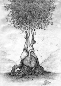 "Human heart is like a tree whose roots are buried deep within the soul, seeking for beauty and understanding in an endless circle. Human Tree, Oak Tree Tattoo, Human Painting, Frida Art, Surreal Artwork, Heart Painting, Medical Art, Desenho Tattoo, Antique Illustration