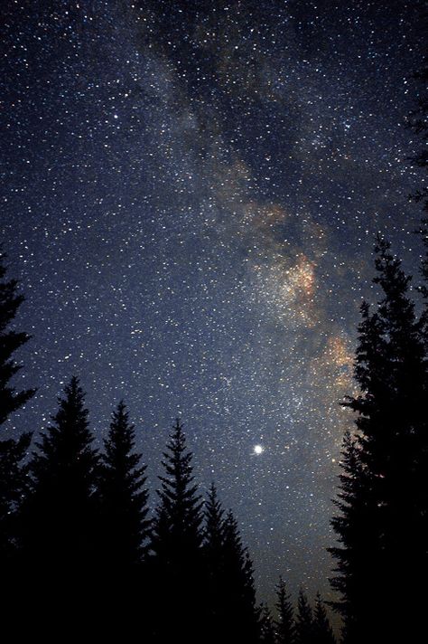 . Milky Way, Cer Nocturn, Sky Full Of Stars, Sky Full, Starry Night Sky, Stars At Night, The Night Sky, Beautiful Sky, Starry Sky