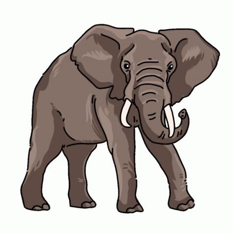 Elephant African Elephant Sticker - Elephant African Elephant - Discover & Share GIFs Elephant Animation, Elephant Drinking Water, Elephant African, Elephant Gif, Elephant Stickers, Elephant Memes Funny, African Forest Elephant, African Elephant, Cool Gifs