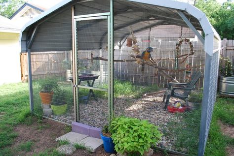 Small Aviary Allowing Protection From Rain But Still Gives Birds Access To Sun & Shade Bird Avery, Parrot Habitat, Parrot Aviary, Outdoor Aviary, Aviary Ideas, Macaw Cage, Diy Bird Cage, Pet Bird Cage, Bird House Kits