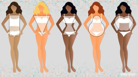 Women's Body Types: Find Out Which Body Shape You Are All Body Types, Types Of Body Shapes Women, Body Types Women Shape, Different Body Types Women, Body Shape, Normal Body Type Women, Different Body Types, Body Types Chart, Body Shape Chart