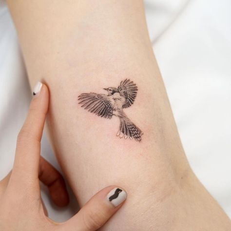 Blue Jay Tattoo Design, Bluebird Forearm Tattoo, Tiny Blue Jay Tattoo, California Scrub Jay Tattoo, Bird Tattoo Blue Jay, Blue Jay Tattoo Small Black And White, Fantail Bird Tattoo, Blue Jay Flying Tattoo, Blue Jay Fine Line Tattoo