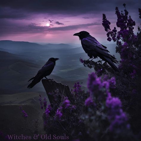 Crow Pfp, Witch Wallpaper, Purple Night, Crows Ravens, Ceiling Tile, Crows, Ravens, Blue Purple, Enchanted