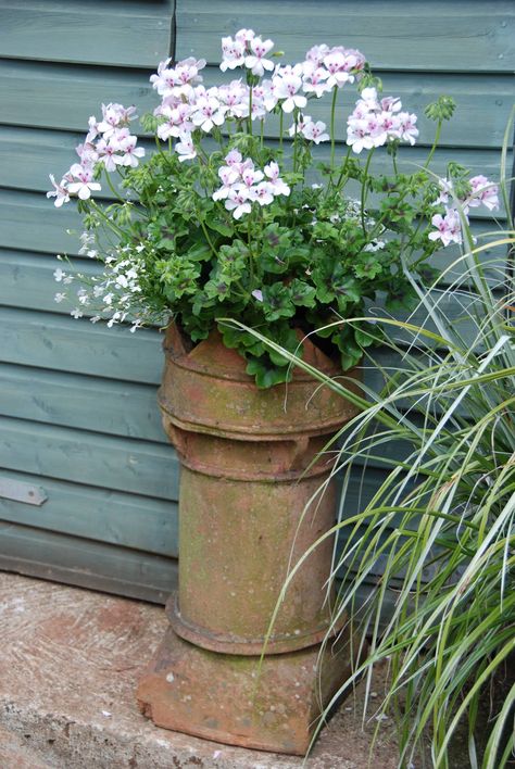 An old chimney pot is now a beautiful planter.  Created by Bleu-Clair in her garden <3 Plants In Chimney Pots, Chimney Planter Ideas, Chimney Pots Garden Ideas, Chimney Pot Planter Ideas, Cottage Planters, Chimney Pot Planter, Old Chimney, Rosehill Cottage, Beautiful Planters