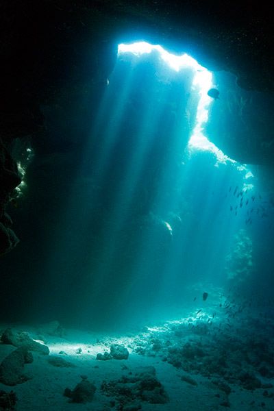 Light In Water, Ocean Cave, Underwater Lighting, Fantasy Ocean, Light Underwater, Underwater Landscape, Underwater Light, Water World, Underwater City