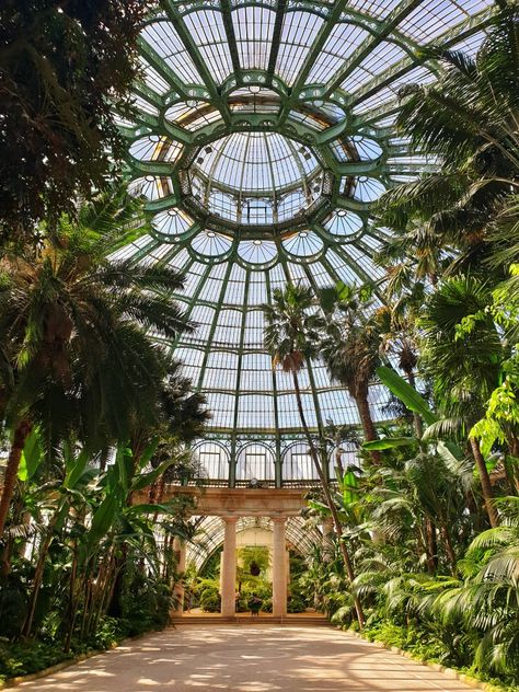 The Royal Greenhouses of Laeken, Belgium Royal Greenhouse, Belgium Aesthetic, Visit Brussels, Brussels Travel, Belgium Travel, Europe Tours, Brussels Belgium, Future Travel, Greenhouses