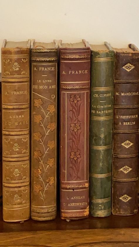 Old Vintage Books Aesthetic, Old Book Spines, Parchment Paper Aesthetic, Old Books Aesthetic, Stolen Valor, Vintage Leather Books, Stella Art, Vintage Book Cover, Victorian Books