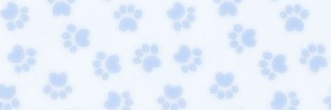 Blue Medium Widget, Brewster Wallpaper, Puppy Time, Pet Spaces, Blue Text, Cute Blue Wallpaper, Light Blue Aesthetic, Blue Banner, Cute Headers