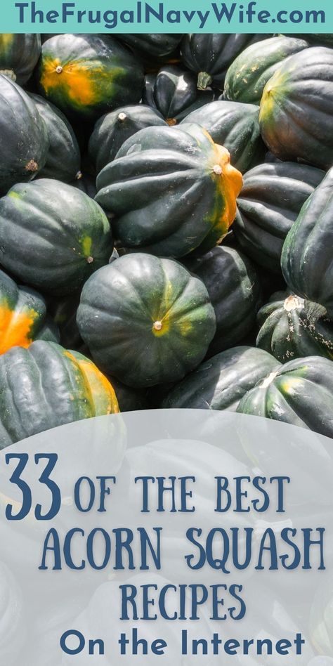 The aroma when cooking squash and other fall foods just sets the entire home in the fall spirit, here are some of our favorite Acorn Squash Recipes. #fall #acornsquash #frugalnavywife #roundup #recipes | Acorn Squash | Fall Recipes | Frugal Navy Wife | Roundup | Side Dishes | A Corn Squash, Danish Squash Recipes, Acorn Squash Dishes, Acorn Squash And Pork Chops, Acorn Squash Recipe Healthy Clean Eating, Yellow Acorn Squash Recipes, Green Acorn Squash, Easy Stuffed Acorn Squash, Acorn Squash And Brussel Sprouts