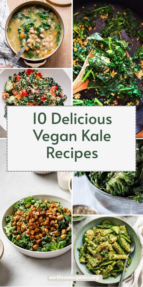 Give your meals a nutritious upgrade with these 10 vegan kale recipes! Whether you’re making savory kale flatbread, rich kale and lentil stew, or a classic kale Caesar salad, these recipes are sure to impress. Healthy, filling, and totally delicious! #KaleForDays #VeganHealth #SuperfoodRecipes Vegan Japanese Curry Recipe, Vegan Kale Recipes, Kale Recipes Vegan, Kale Flatbread, Easy Vegan Soup, Salad Kale, Kale Caesar, Kale Quinoa Salad, Kale Caesar Salad