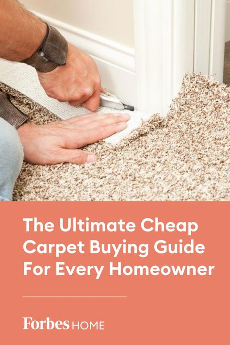 Cheap Carpet Ideas Budget, Cheap Carpet Replacement, How To Replace Carpet, Carpet Options, Install Carpet, Carpet Replacement, Cheap Houses For Sale, Affordable Carpet, Basement Carpet