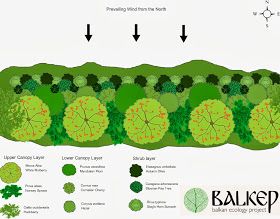 Wind Break Garden, Windbreak Trees, Ecology Projects, Food Forest Garden, Regenerative Agriculture, Ecology Design, Wind Break, Farmhouse Landscaping, Permaculture Gardening