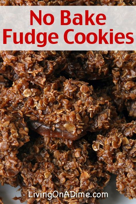 Easy No Bake Fudge Cookies Recipe- Mud Pies. A family favorite for just $ 1.50! Fudge Cookie Recipe, No Bake Fudge, Easy No Bake Cookies, Dessert Oreo, Picky Eaters Kids, Eggless Desserts, Fudge Cookies, Desserts Vegan, Chocolate Oatmeal