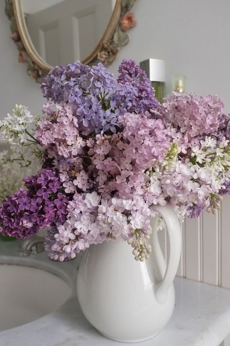 Clockwise from upper right: Pale pink ‘Maiden’s Blush,’ common white, double-flowered ‘Beauty of Moscow,’ ‘Monge,’ common white, ‘President Grevy’ (blue), and common purple. Wallpaper Islami, Lilac Bouquet, Cottage Shabby Chic, Inspiration Tattoos, Wedding Vases, Deco Floral, Arte Floral, Types Of Flowers, Beautiful Blooms