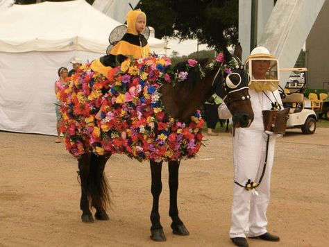 Bee Flowers Horse Costume Horse Fancy Dress Costume, Horse Fancy Dress, Horse Show Mom, Horse Halloween Costumes, Horse Costume, Horse Flowers, Flower Costume, Horse Dress, Bee Costume