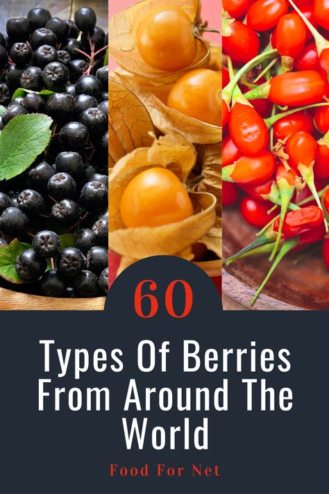 Berries come in all shapes, colors, sizes, and flavors. This post highlights many common and uncommon berries, and how they compare. #berries #fruit Weird Fruit, Types Of Berries, Around The World Food, Unique Fruit, Berry Plants, Berry Bushes, World Food, Indian Dessert Recipes, Beautiful Fruits