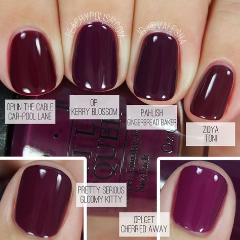 Fall Pedicure, Nail Polish Colors Winter, Berry Nails, Pedicure Colors, Nagellack Trends, Nails Polish, Colorful Nail Designs, Fall Nail Colors, Opi Nails