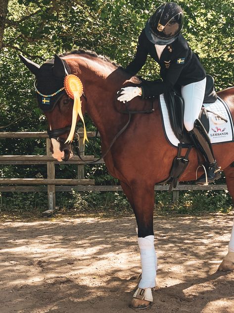 #dressage #dressagehorse #samshield #cavalleriatoscana #horse #horses Horse Riding Dressage, Horse Show Aesthetic, Dressage Horses Photography, Dressage Aesthetic, English Horse Riding, Horse Girl Aesthetic, Dressage Competition, Horse Riding Aesthetic, Horse Competition