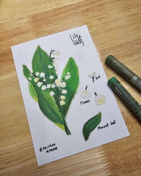 Botanical art journal with oil pastel✨️⚘️ #oilpastel #drawingtutorial #lilyofthevalley #botanicalart #texturedart #nature #weekend Oil Pastel Art Nature, Oil Pastel Nature, Lily Of The Valley Drawing, Inspo Art, Oil Pastel Art, Flower Sketches, Pastel Pencils, Pastel Art, Lily Of The Valley