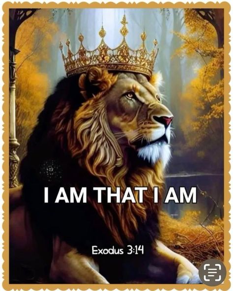 Lion Of Judah Jesus, Lion Artwork, Lions Photos, Lion And Lamb, Jesus Christ Artwork, Lion King Art, Lion Painting, Christian Images, Bible Quotes Images