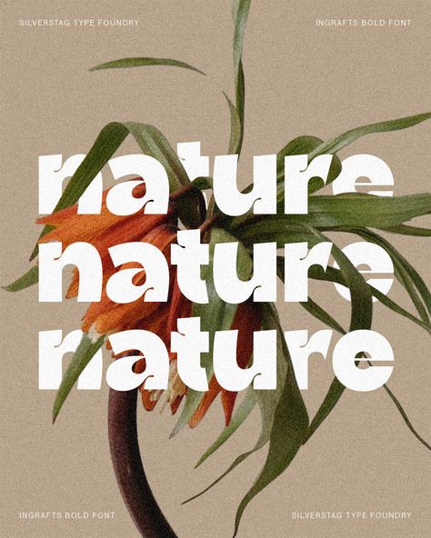 Friday feels: Finding tranquility in nature's details, much like the delicate lines of Ingrafts Bold. Wishing you a weekend filled with simple pleasures. 🌿 🔺 Font: Ingrafts - Bold & Funky Font #FontFriday #NatureInspired #Typography #IngraftsBold #SilverstagTypeFoundry #SerifFont #WeekendMood #DesignDetails #MinimalistType #NaturePhotography Organic Typography Design, Nature Typography Design, Natural Fonts, Organic Fonts, Natural Typography, Organic Typography, Organic Font, Funky Typography, Nature Typography