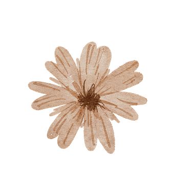 Brown Flowers Drawing, Beige Stickers Aesthetic, Brown Poster Aesthetic, Brown Png Icons, Insta Scrapbook, Flower Watercolor Art, Widget Iphone, Cute Scrapbooks, Green Screen Background Images