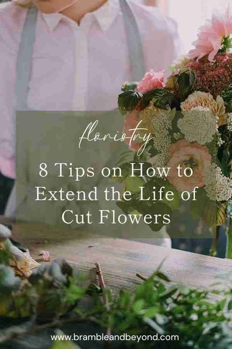 Cut Flower Arrangements Diy, Flower Garden Bouquet, Bouquet Tips, Cut Flower Bouquet, Flowers Last Longer, Sustainable Flowers, Garden Bouquet, Cut Flower Garden, Eco Friendly Wedding