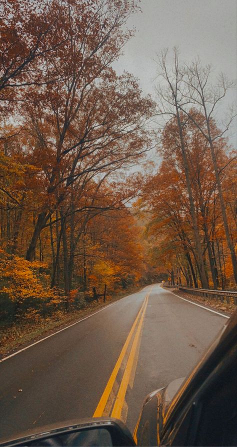 Fall Car Wallpaper, Fall Driving Aesthetic, Fall Road Aesthetic, Autumn Road Aesthetic, Road Drawing, Autumn Road Wallpaper, Autumn Farm, Fall Autumn Aesthetic, Fall Szn