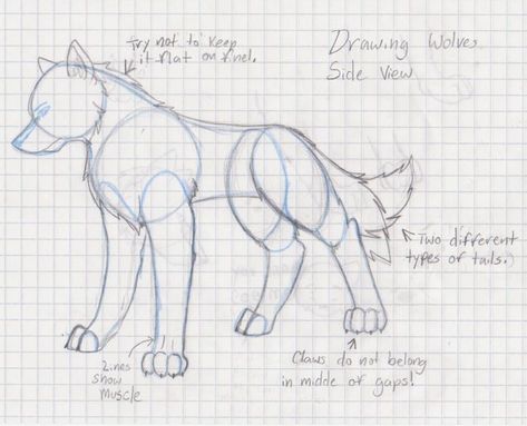 Drawing Wolves, Wolf Sketch, Wolf Eyes, Drawing Eye, Drawing Ideas List, Animal Drawings Sketches, Elephant Drawing, Wolf Drawing, Sketches Tutorial