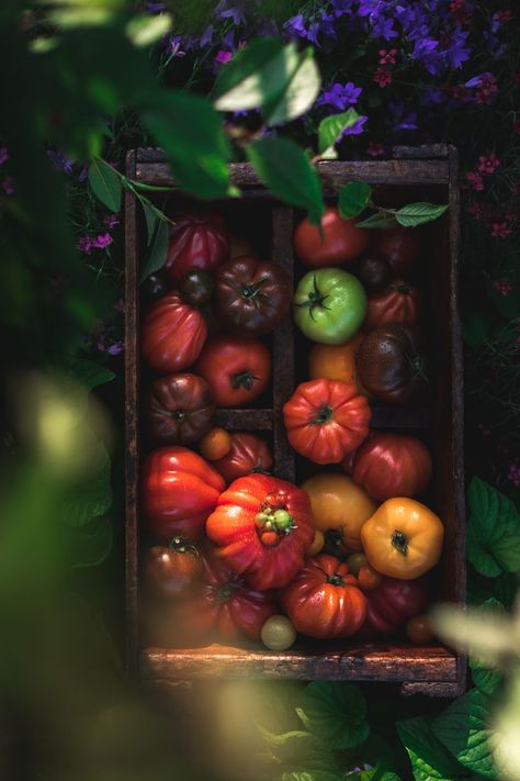 Ingredients Photography, Vegetables Photography, Capital Of Canada, Fruit Still Life, Vegetable Pictures, Tomato Vegetable, Photography Workshop, Food Props, Still Life Photos