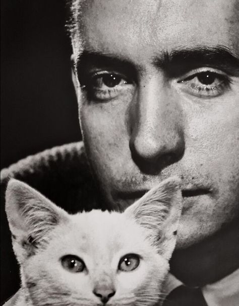 Edward Albee, Celebrities With Cats, Philippe Halsman, Men With Cats, Digital Museum, Cat Pose, Great Cat, Virginia Woolf, Celebrity Portraits