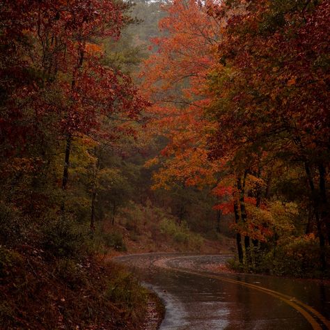 Friendship Letters, Autumn Magic, Red Fall, The Arrow, Season Of The Witch, Autumn Scenery, Autumn Vibes, Best Seasons, Fall Pictures