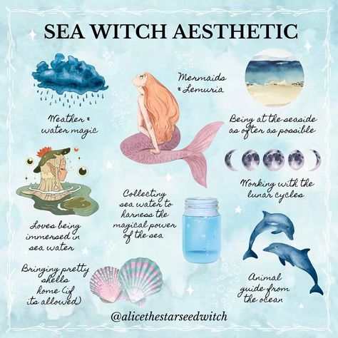 All Posts • Instagram Mermaid Witch Aesthetic, Witchy Practices, Sea Witch Aesthetic, Sea Witchcraft, Ocean Witch, Magickal Tips, Weather Witch, Mermaid Spells, Witch Types