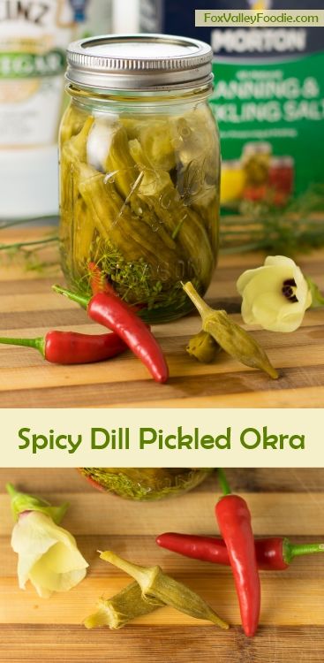 Spicy Dill Pickled Okra Canning Pickled Okra, Pickled Okra Recipe, Pickled Okra Recipes, Pickle Recipes Homemade, Okra Recipe, Homemade Ham, Pickled Okra, Canning Pickles, Okra Recipes