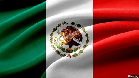 I was born in Wisconsin, but I grew up in Mexico until the age of 11. Marine Day, Danny Ocean, Different Flags, Mexican Army, Army Day, Mexican Flags, Mexico Flag, National Symbols, Oil Industry