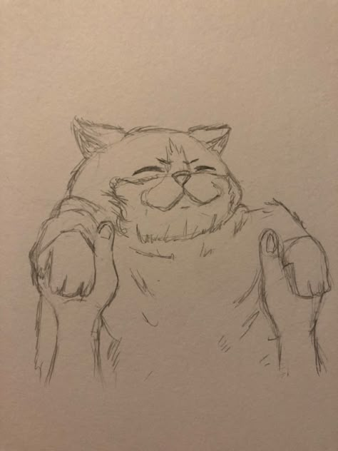 fat cat sketch drawing cutie pie awww Cat Sketch Wallpaper, Cat Being Held Up Drawing, Cat People Drawings, Cat Being Picked Up Drawing, Chunky Cat Drawing, Drawing Ideas Person Sketch, Silly Cat Sketch, Cat And Human Drawing, Human Cat Drawing