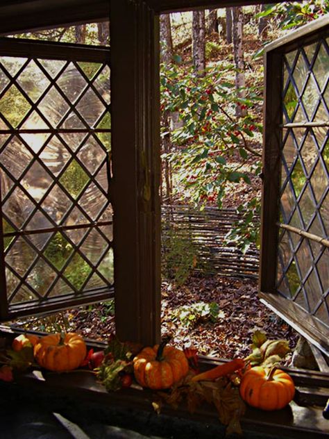 Witchy Cottage, Witches Cottage, An Open Window, Cottage Windows, Enchanted Cottage, Woodland Cottage, Cottage Witch, Witch Cottage, Cottage Aesthetic