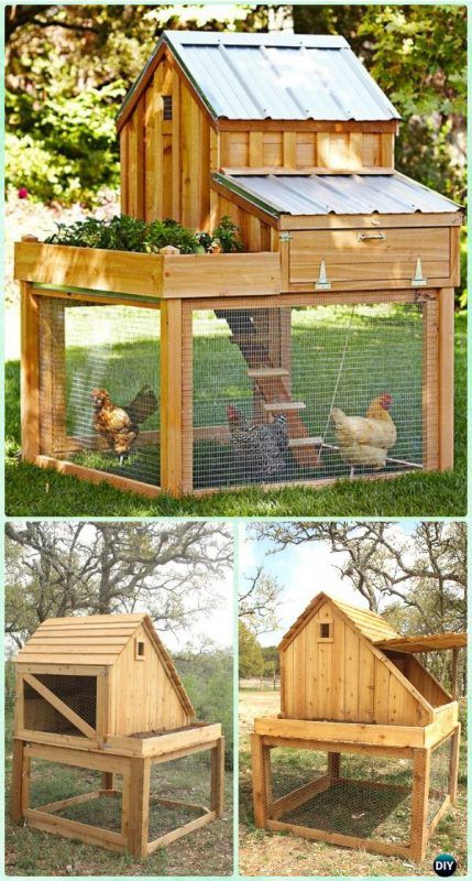 Wood Chicken Coop, Reban Ayam, Wood Chicken, Cute Chicken Coops, Small Chicken Coops, Easy Chicken Coop, Best Greenhouse, Backyard Chicken Coop Plans, Chicken Coup