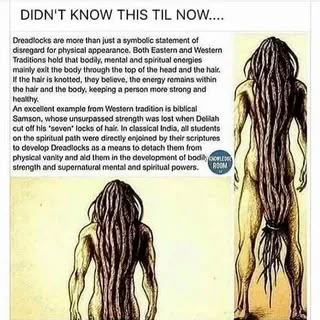 Dread Head, Black Fact, African Spirituality, Dreadlock Styles, Dreads Styles, Black Knowledge, Loc Journey, Dreadlock Hairstyles, Bohol