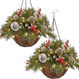 Christmas Hanging Baskets, Christmas Tree In Basket, Porch Front Door, Holiday Baskets, Christmas Plants, Christmas Holiday Decor, Christmas Porch Decor, Christmas Hanging Decorations, Christmas Hanging