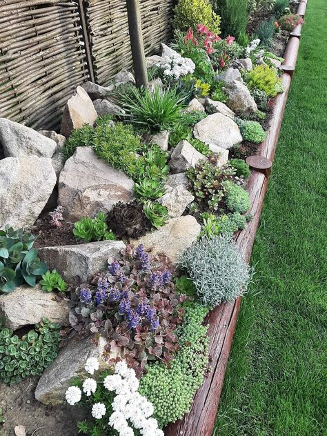 Rockery Garden, Rock Garden Design, Yard Landscape, Garden Decor Ideas, Apartment Patio, Rock Garden Landscaping, Farmhouse Front, Garden Yard Ideas, Front Yard Garden