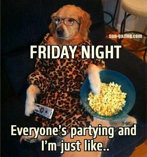 Friday Night At Home Quotes, Friday Nights At Home Quotes, Friday Night Quotes Humor, Friday Night Humor, Funny Coffee Quotes Mornings, Friday Night Quotes, Medieval Movies, Late Night Quotes, Cute Facial Expressions