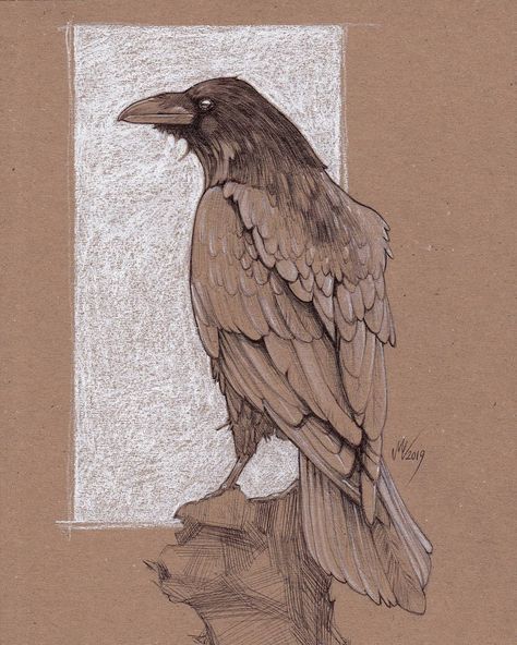 Crow Artwork, Crows Drawing, Drawing Study, Raven Bird, Crow Art, A Crow, Raven Art, New Retro Wave, Desenho Tattoo